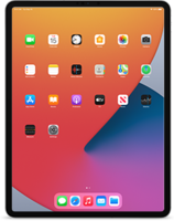 iPad Pro (12.9-inch, Cellular) (5th generation)
