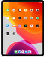 iPad Pro 4 (12.9-inch, WiFi)